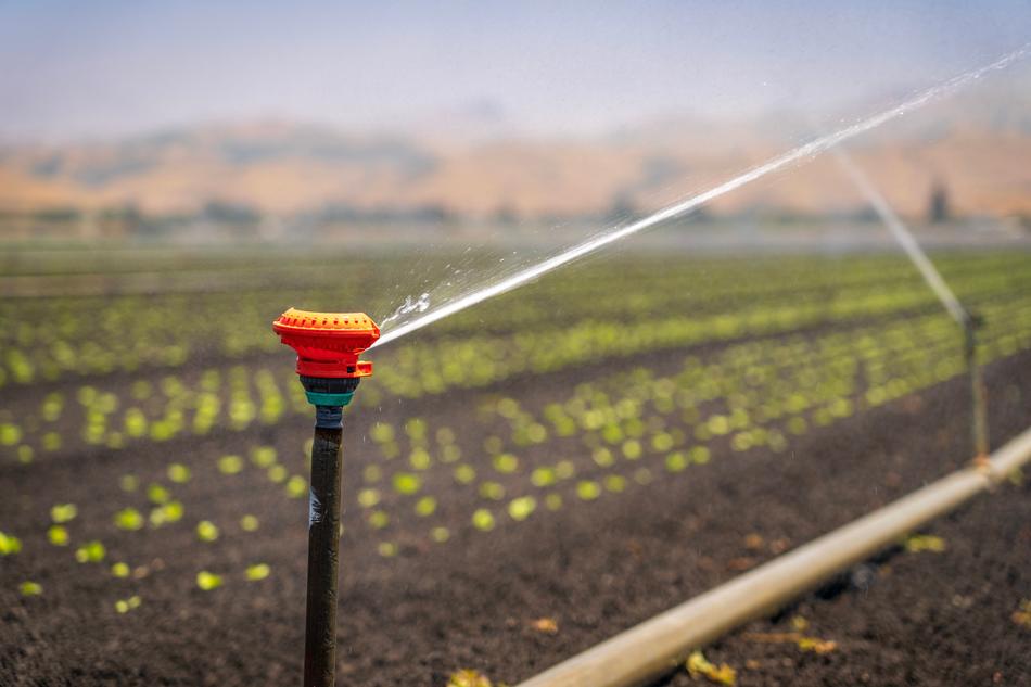 Irrigation watering crops