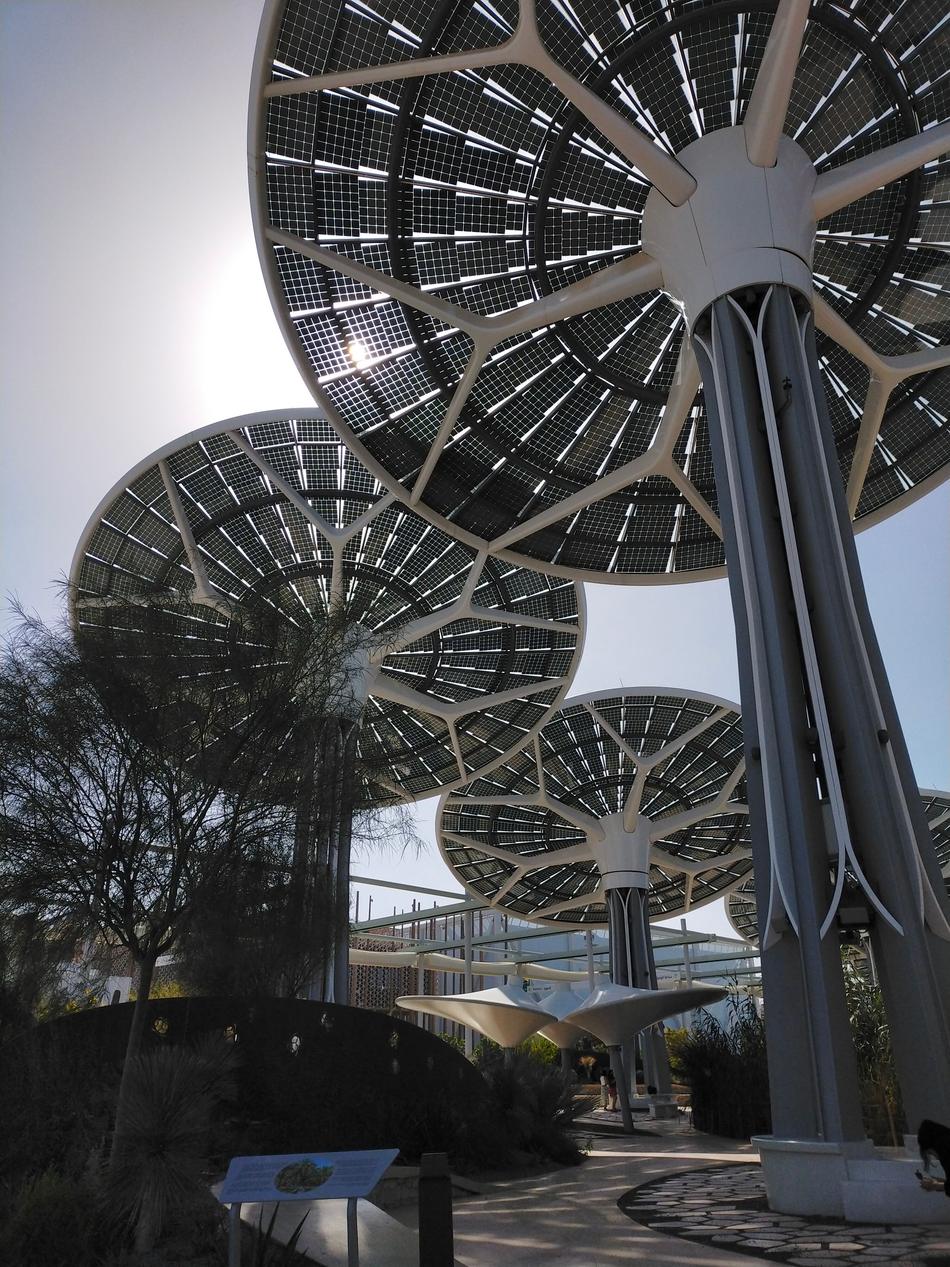 Sculptural solar canopy in a public space