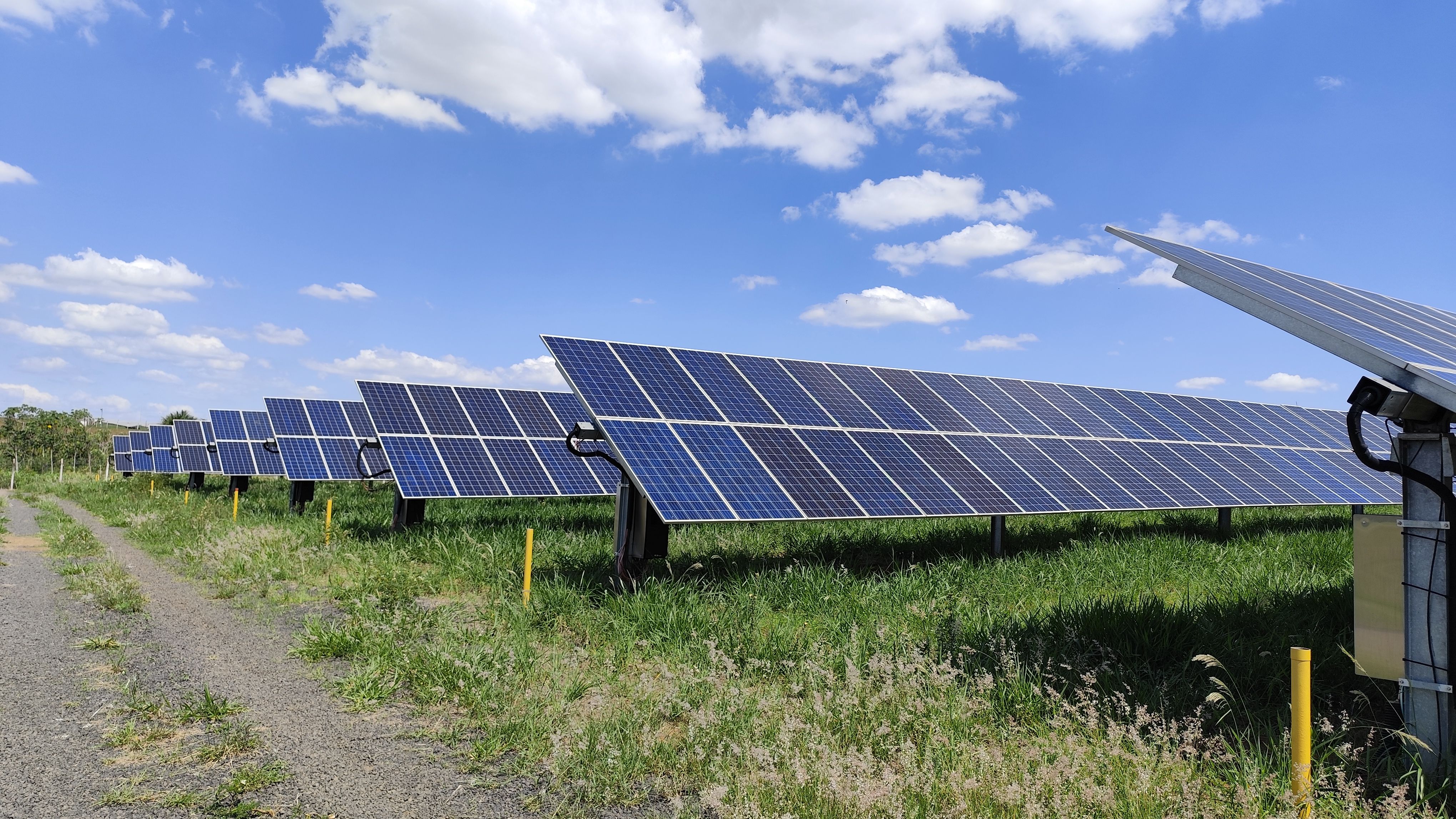 Rows of solar panels laid out across a green field
